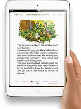 new_apple_ipad_mini_09.jpg