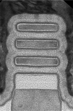 2-nm-nanosheet-device.png