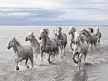 national_geographic_july_2012_04.jpg