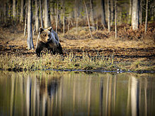 national_geographic_july_2012_07.jpg