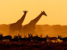 national_geographic_july_2012_11.jpg