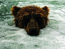 national_geographic_july_2012_20.jpg
