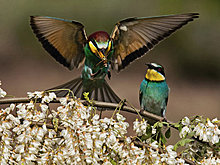 national_geographic_july_2012_26.jpg