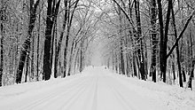 snowy_road_1920x1080-hdtv-1080p.jpg