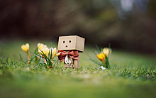 danbo_march_wallpaper__by_gloeckchen.jpg