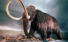 mammoth-1280x800.jpg