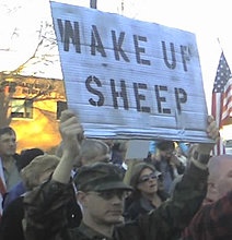 wake-up-sheep.jpg