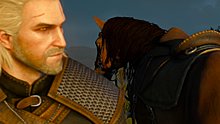 witcher3-71.jpg