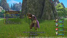 dragon_quest_xi_s_eoaea_de_8.jpg