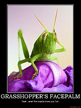 grasshoppers-facepalm-fail-facepalm-face-pedo-demotivational-poster-1252243283.jpg