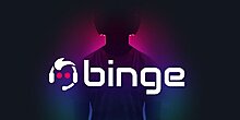 binge-logo-1400-x-700.jpg