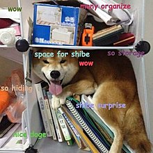 doge_organizer.jpg