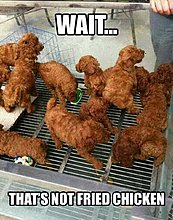 fried_chickens.jpg