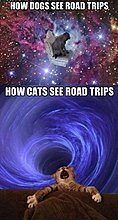 how_dogs_and_cats_see_roadtrips.jpg