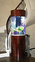 aquarium_ideeas_09.jpg