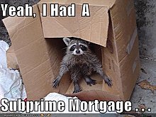 funny-pictures-raccoon-subprime-mortgage.jpg