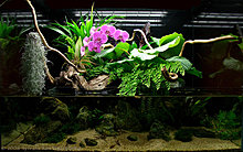 paludarium_641.jpg