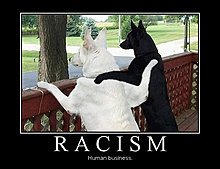 demotivational_racism.jpg