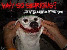 why_so_serious_dog_by_marciopinheiro.jpg