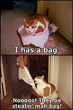 stealing_my_bag.jpg