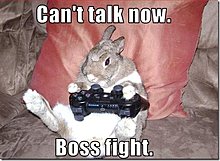 funny-pictures-rabbit-plays-video-games-6-.jpg