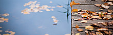 autumn-leaves-wooden-bridge-iphone-panoramic-wallpaper-ilikewallpaper_com.jpg