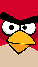 angry-birds-iphone-5-wallpaper-ilikewallpaper_com.jpg