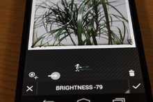 img_3386.png