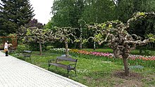 20150506_142540.jpg
