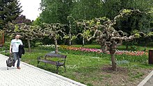 20150506_142552.jpg