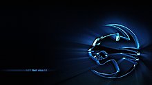 roccat.jpg