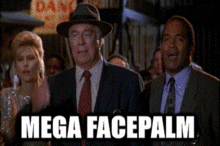 mega-facepalm-gif.-your-reaction-folder-needs_c266b1_3384407.gif