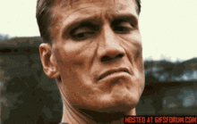 headshot.gif