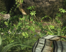 ibtongg6iyazsn.gif