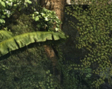 itgfydpmk0xva.gif