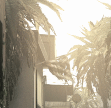 ghostxbvsps_4_zps2b57e2b0.gif