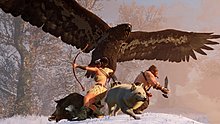 wild.jpg
