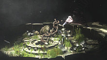 thumb1280x1280_3612949667_d3c4e89656_o.jpg