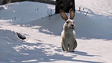 last-us-remastered_20160821155514.jpg