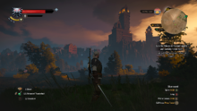 witcher02.png