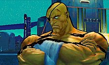 cap38.jpg