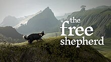 free-shepherd_2025_12-11-25_007.jpg