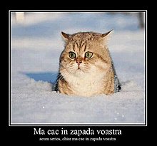 ma-cac-zapada-voastra.jpg