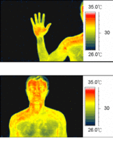 thermography_tests.gif
