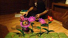 2009_10_26_22_05_18_375.jpg