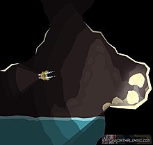 269529.jpg