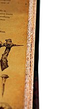 book-cain-7.jpg