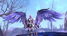 aion_wings_front_medium-800x440.jpg