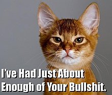 attacking_troll_trollcat.jpg