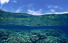 beach_of_okinawa_gj041.jpg